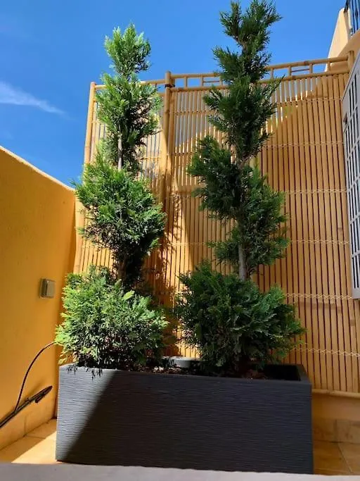 5* Serviced Apartment マルベーリャ スペイン